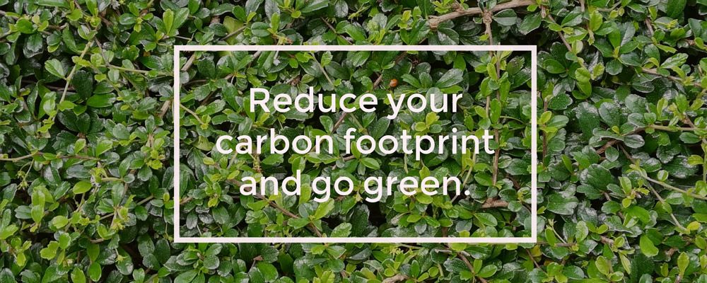 image with green leaves - Reduce your carbon footprint and go green.